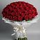 Букет 101 Красная роза Блэк Мэджик в Ферме